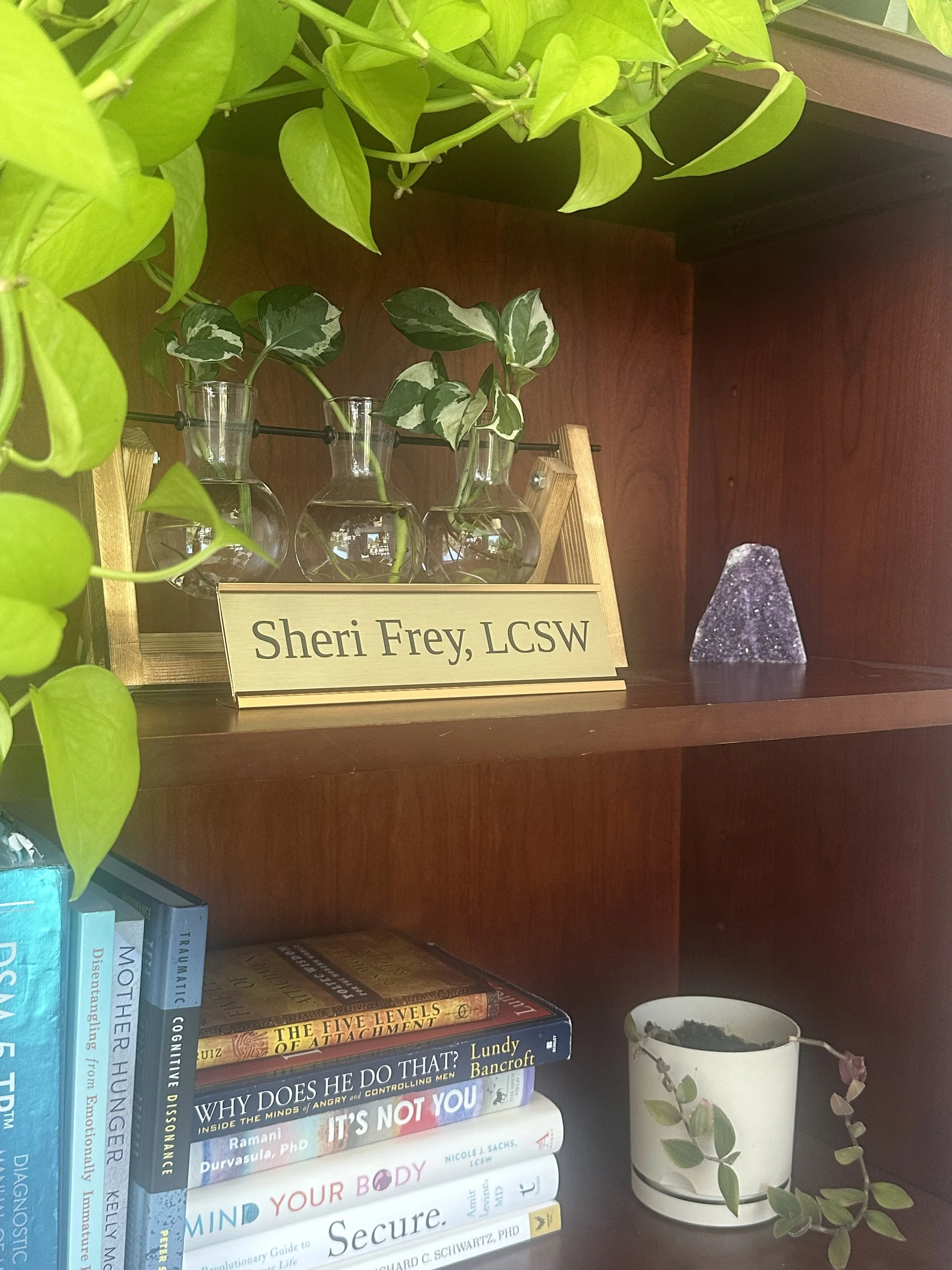 A bookshelf with green plants in glass vases, a sign that reads 'Sheri Frey, LCSW,' and various books including titles like 'The Five Levels of Attachment,' 'The Body Keeps the Score,' and others. There is also a small potted plant with eucalyptus leaves and a purple rock on the shelf.