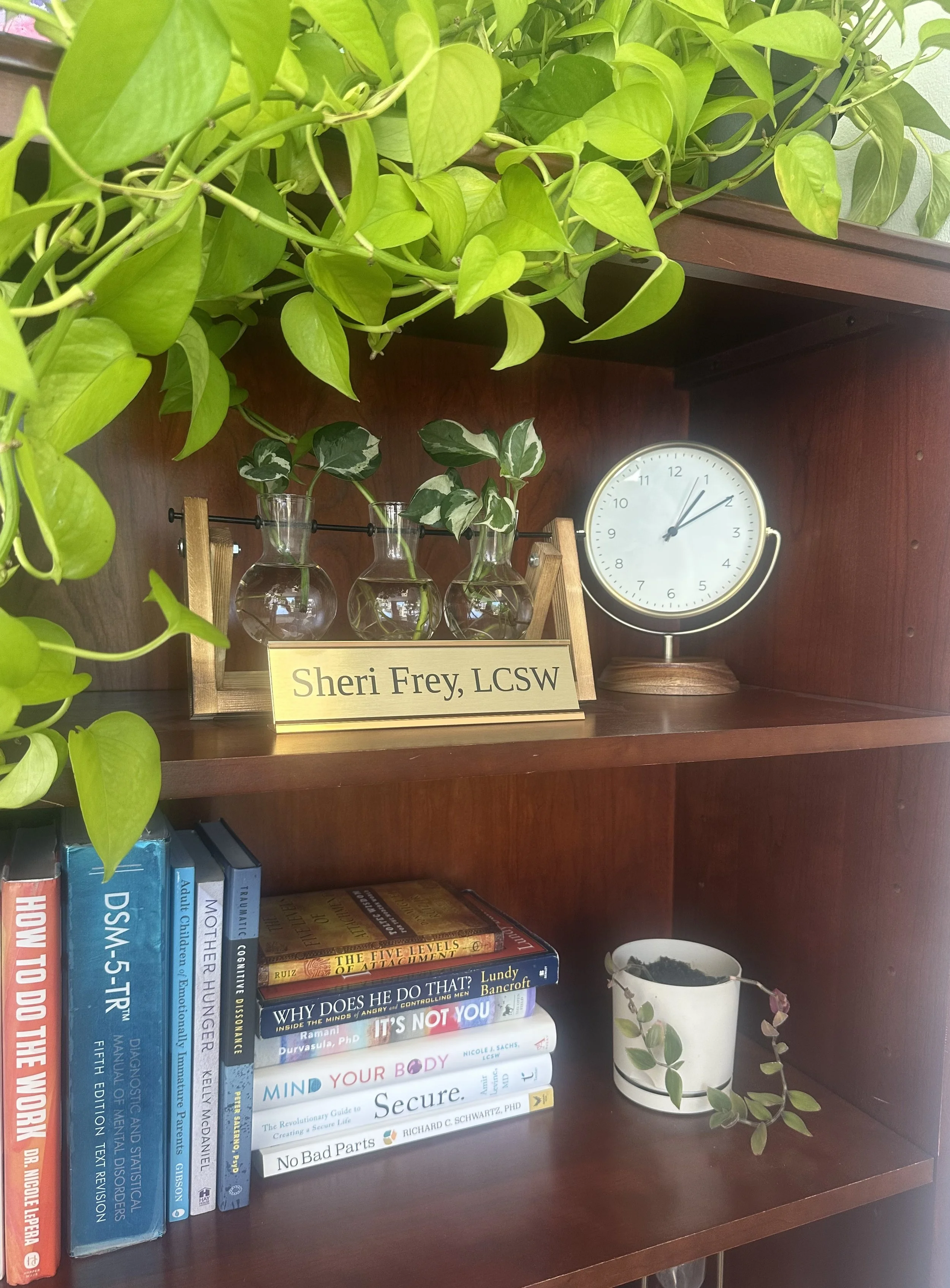 A bookshelf with various books, a potted plant with trailing vines, and a round clock showing 1:08. A label reads 'Sheri Frey, LCSW.'