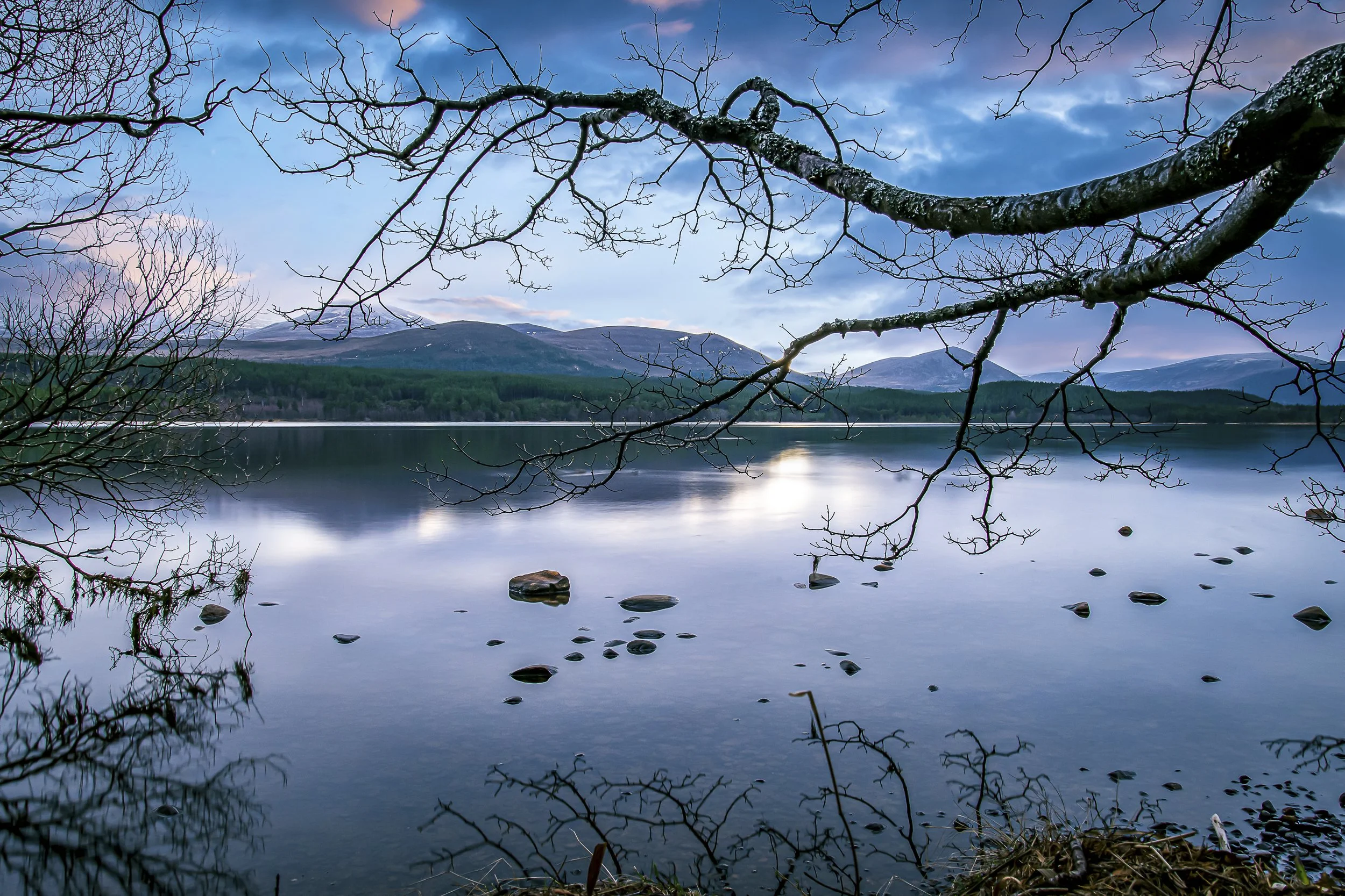 Waterside Website Portfolio May 2026-60.jpg