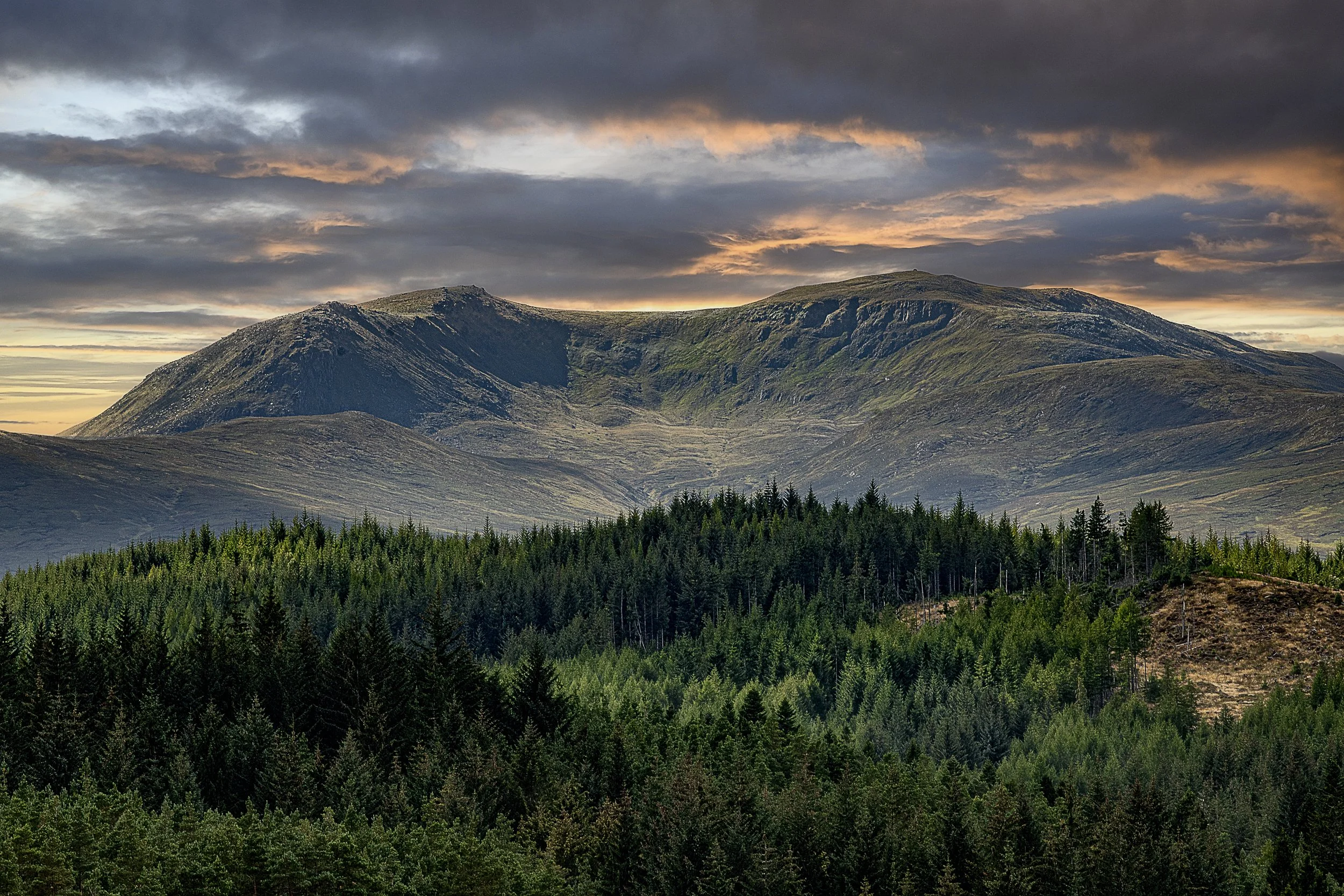 Highlands-50.jpg