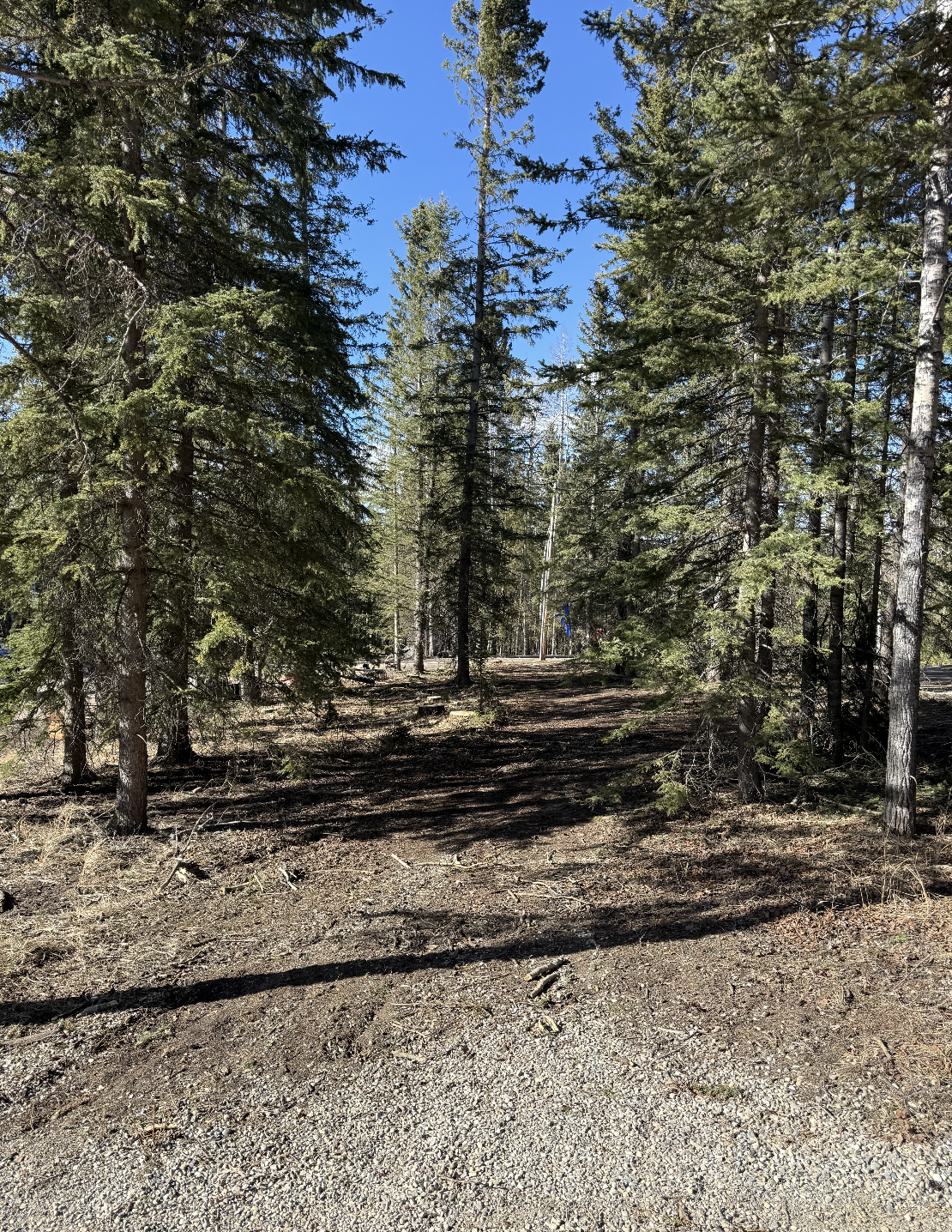 Professional trail building service creating an access trail through wooded acreage.