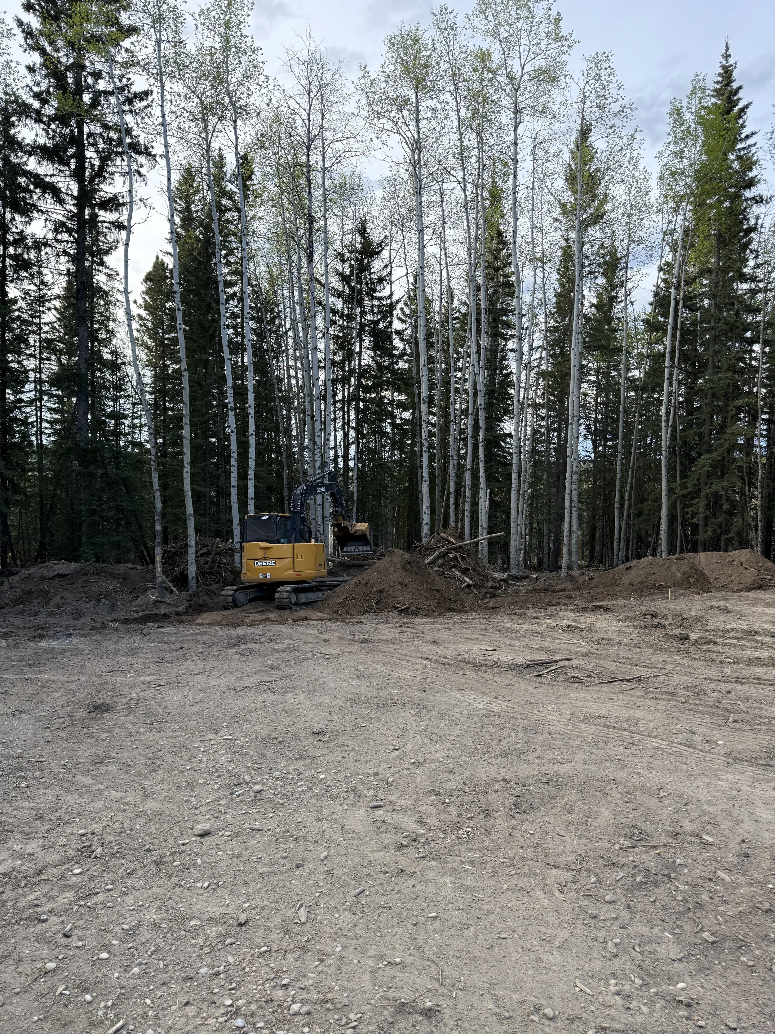 Excavator performing tree and brush removal clearing overgrown vegetation on a rural property in Alberta.