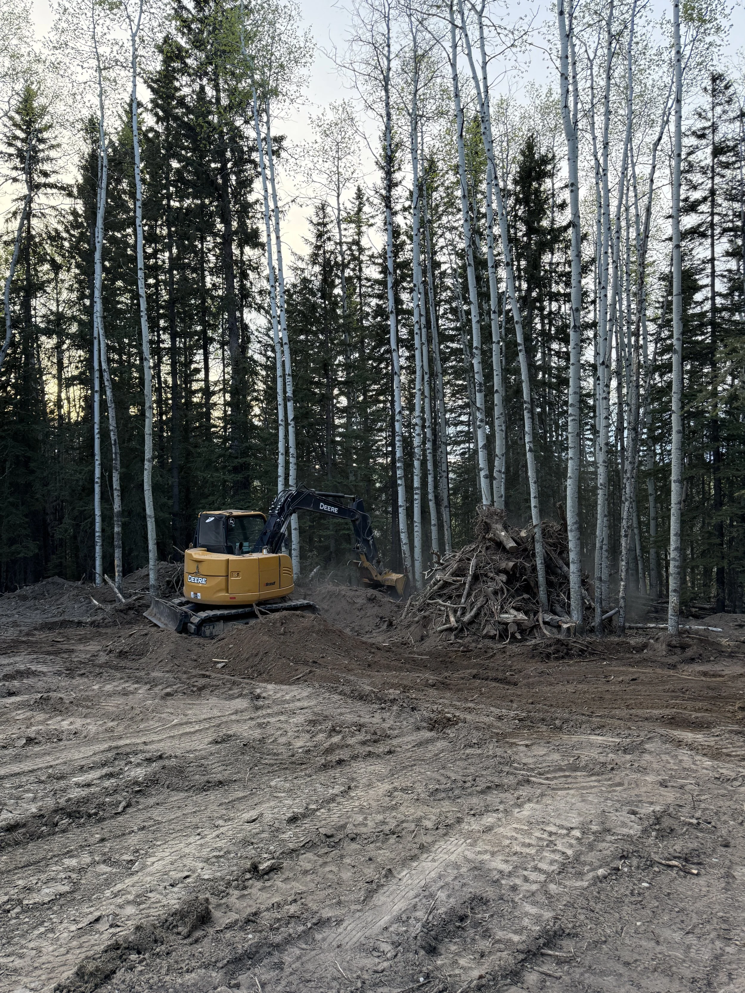 A yellow compact excavator working in a forested area with birch and pine trees, clearing land with exposed soil and tree roots.