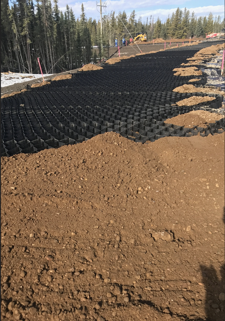 Construction workers grade and prepare a dirt road in a forested area, installing geogrid fabric for stabilization.