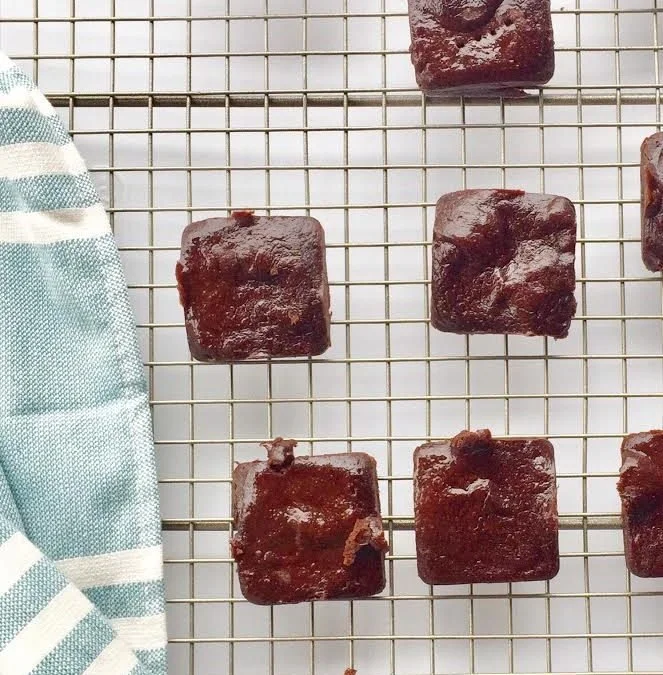 Sugar-, Grain-, Dairy- and Egg- Free Brownies
