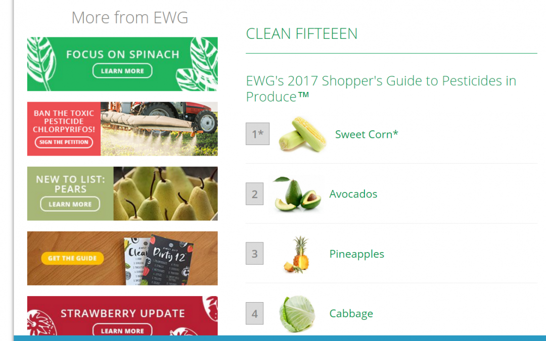 The Magic of EWG + Why You Should Detox