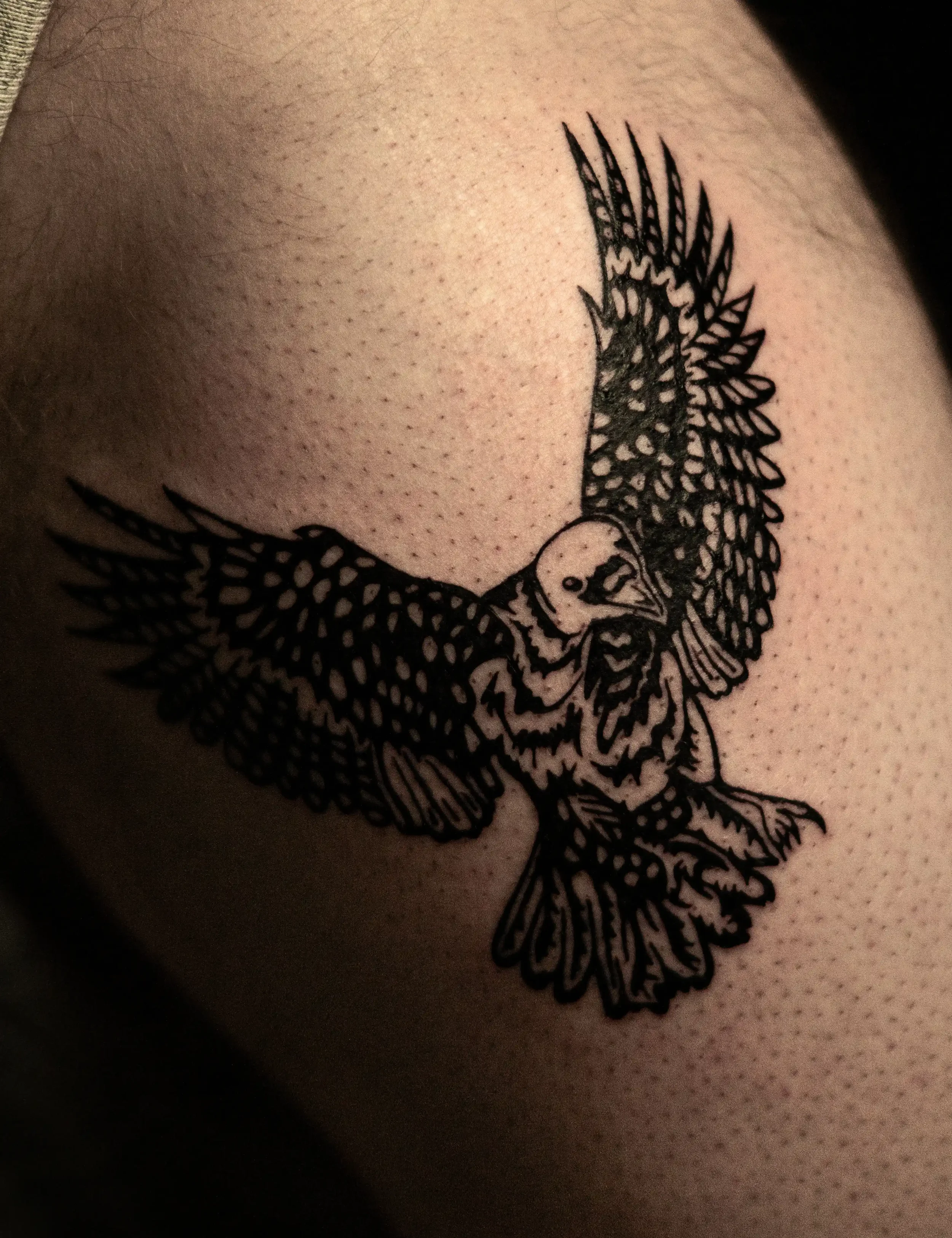 Tattoo eines stilisierten Vogels, möglicherweise eines Eulensymbols, auf der Haut.