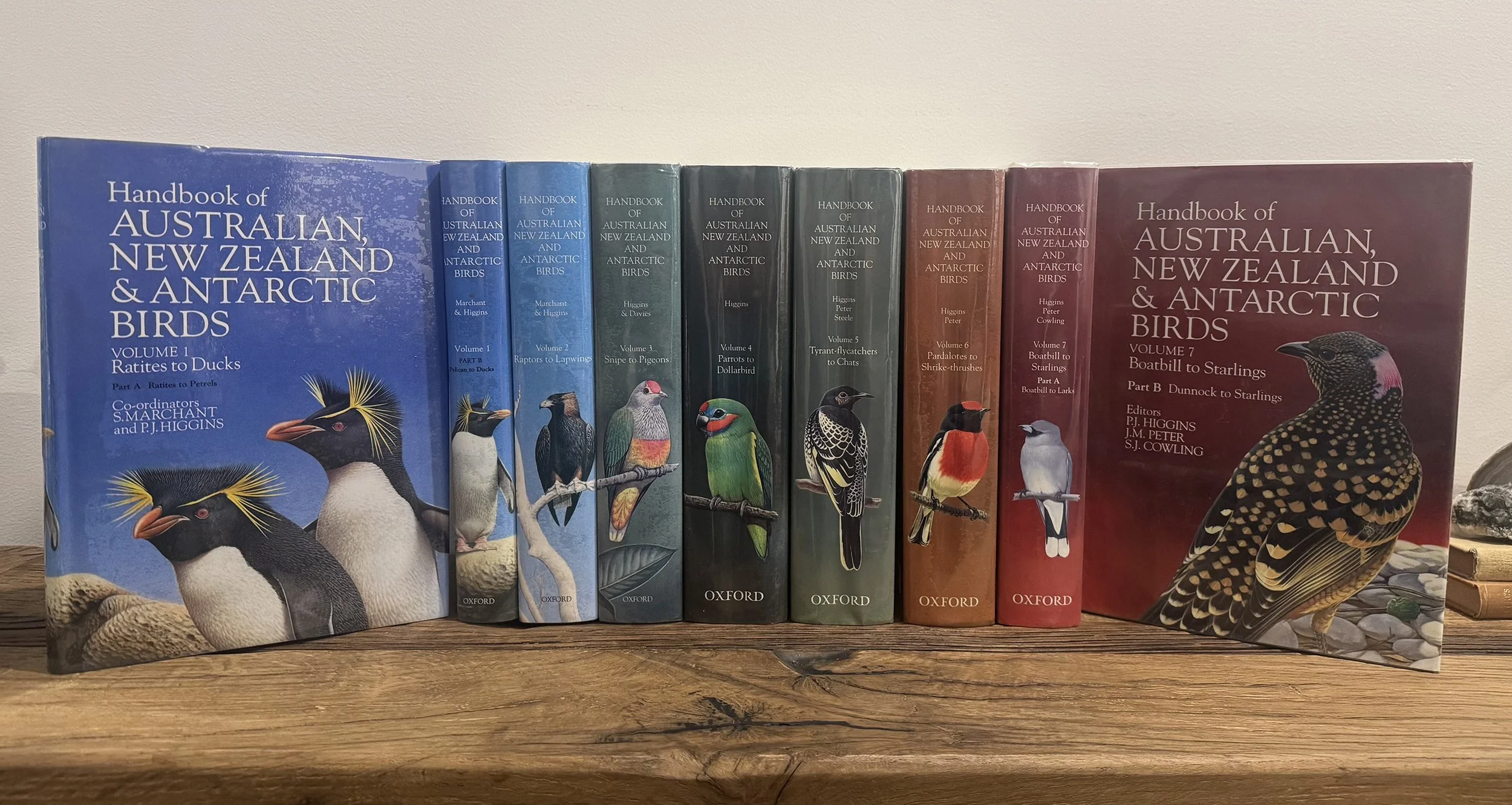 A row of books titled 'Handbook of Australian, New Zealand, and Antarctic Birds' with colorful bird illustrations on the covers, arranged on a wooden surface against a plain wall.