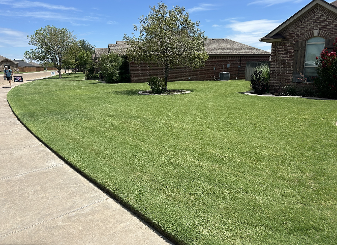 Screenshot 2026-04-28 at 11.03.53 AM.png