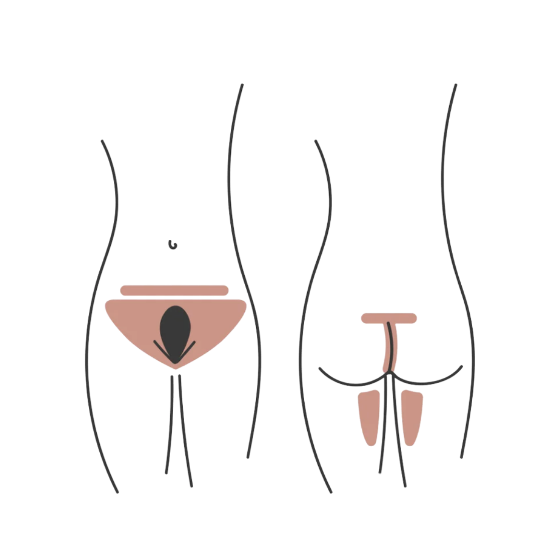 Diagram of male and female reproductive organs, with labels indicating the prostate gland, seminal vesicles, and other internal structures.