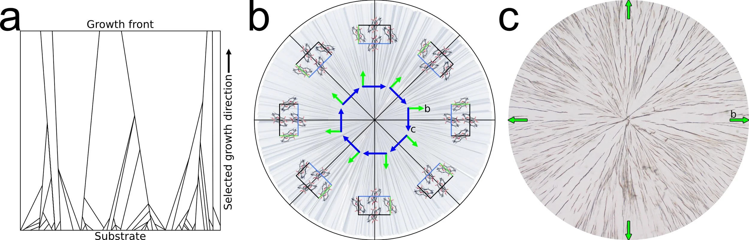 geometric_selection_and_aspirin_spherulite.jpg