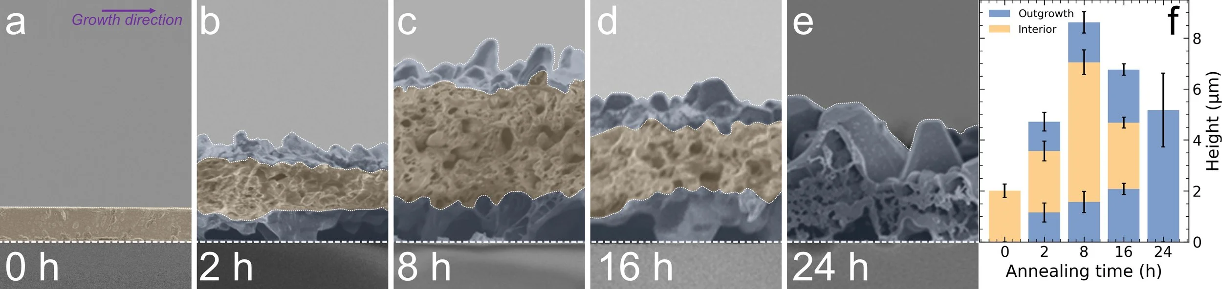 SEM height crosssection.jpg