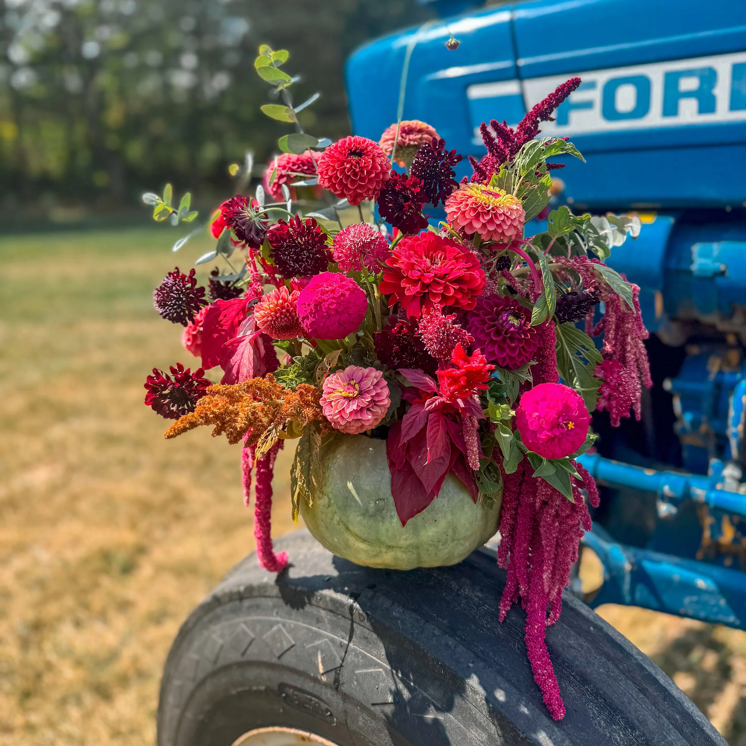 Close-up of a bouquet with pink, red, and purple flowers and green leaves, placed on the back of a blue Ford vehicle, with part of a tire visible in the foreground and a blurred background of trees and grass.