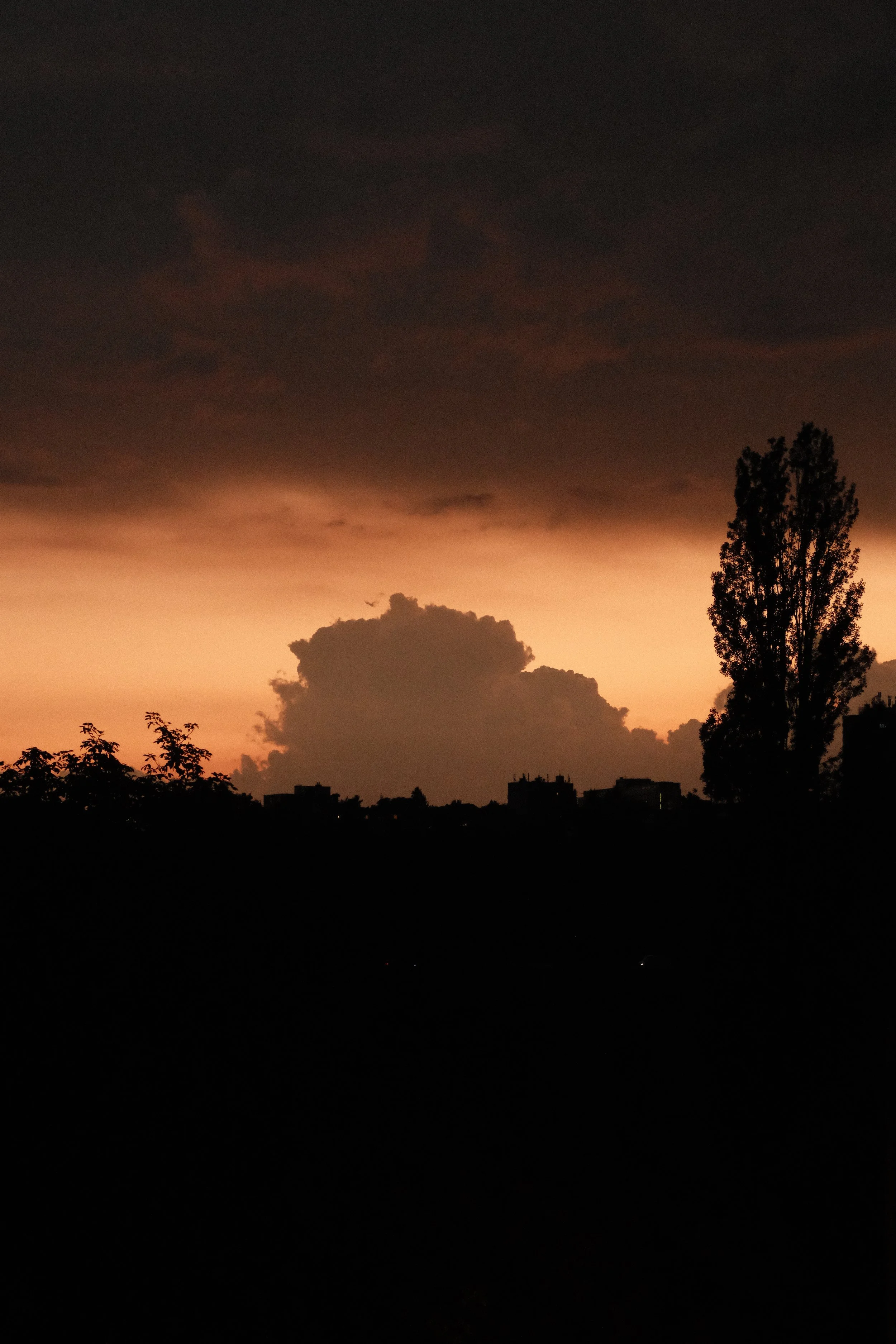 DSCF9161.JPG