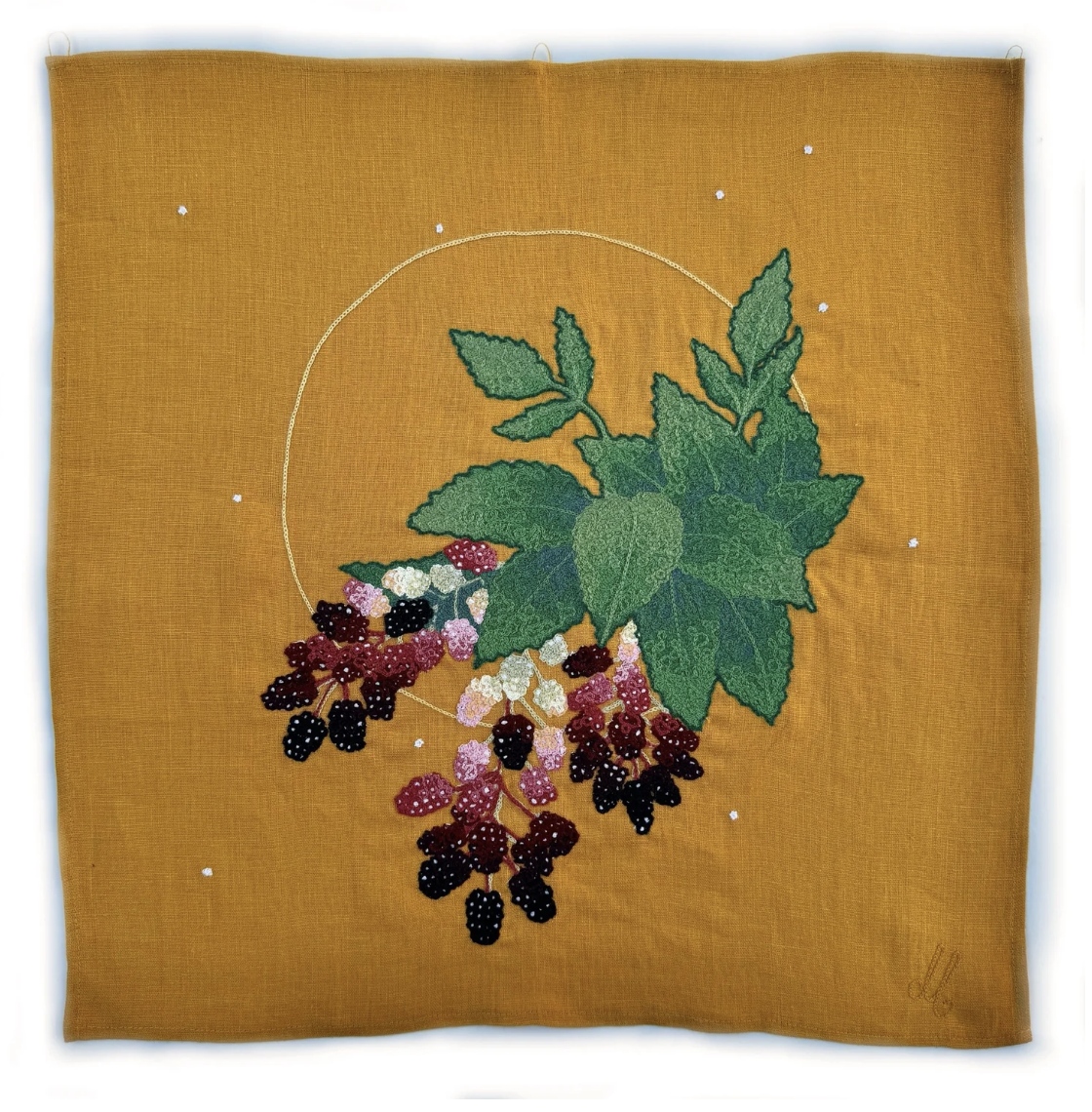 DANA FALCONBERRY, Blackberry Bounty