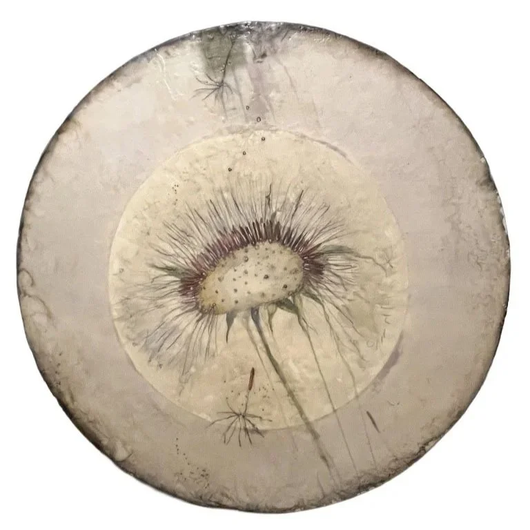Jean Larson, Nature Intended