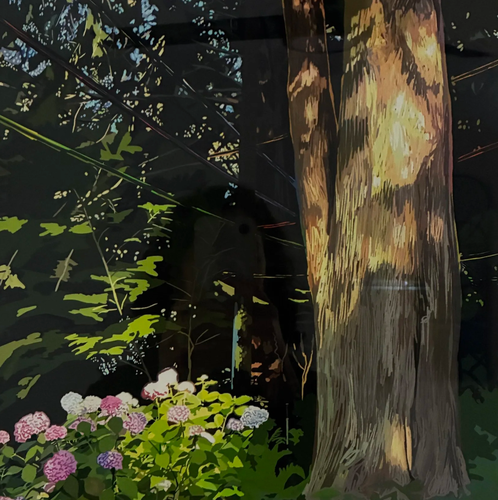 JUSTIN SHULL, Signal Noise