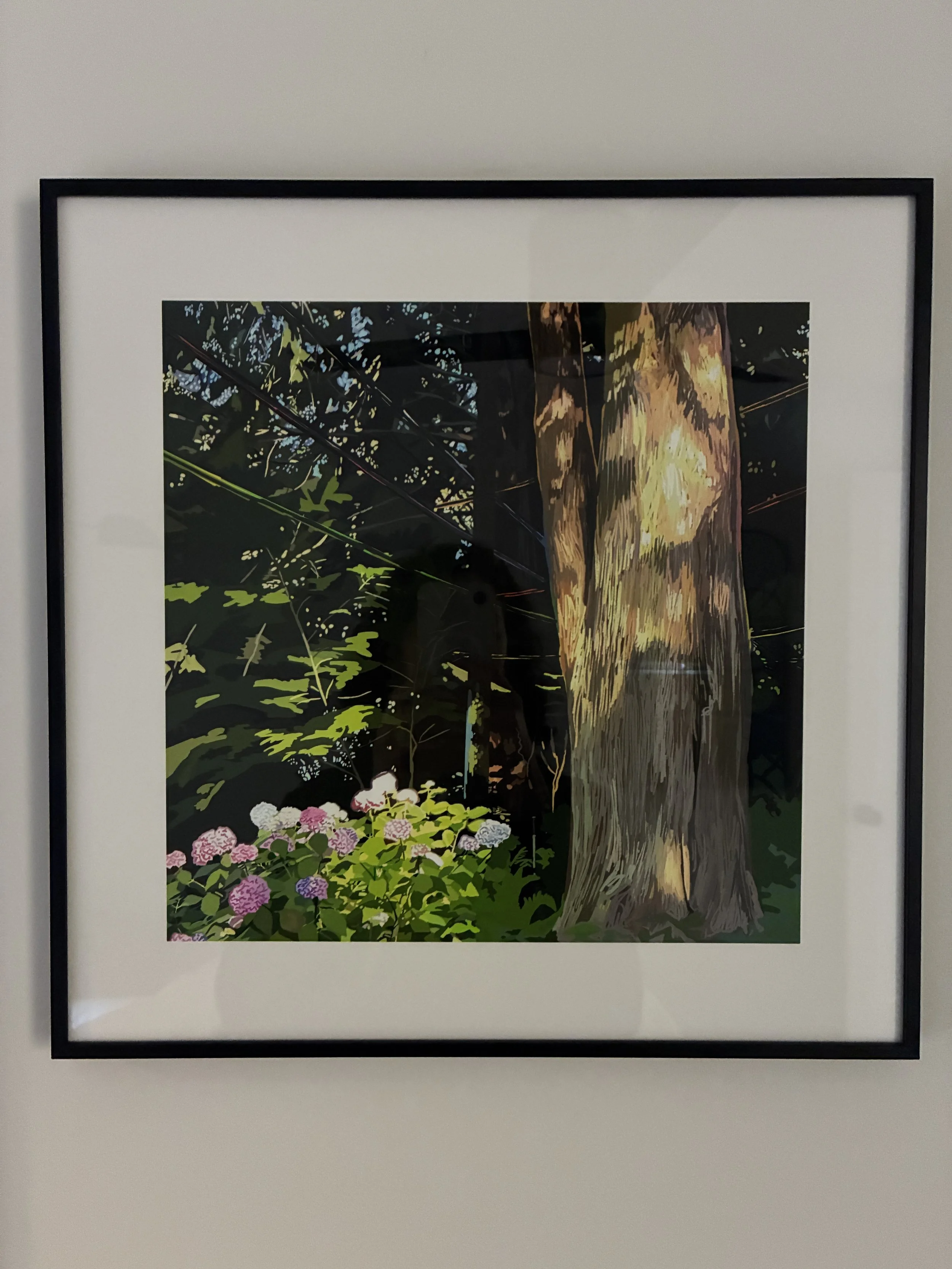 JUSTIN SHULL, Signal Noise