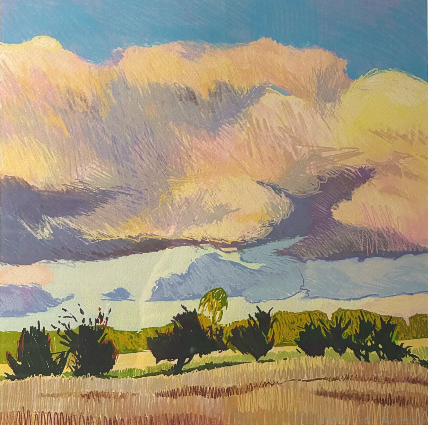 JUSTIN SHULL, Summer Surge