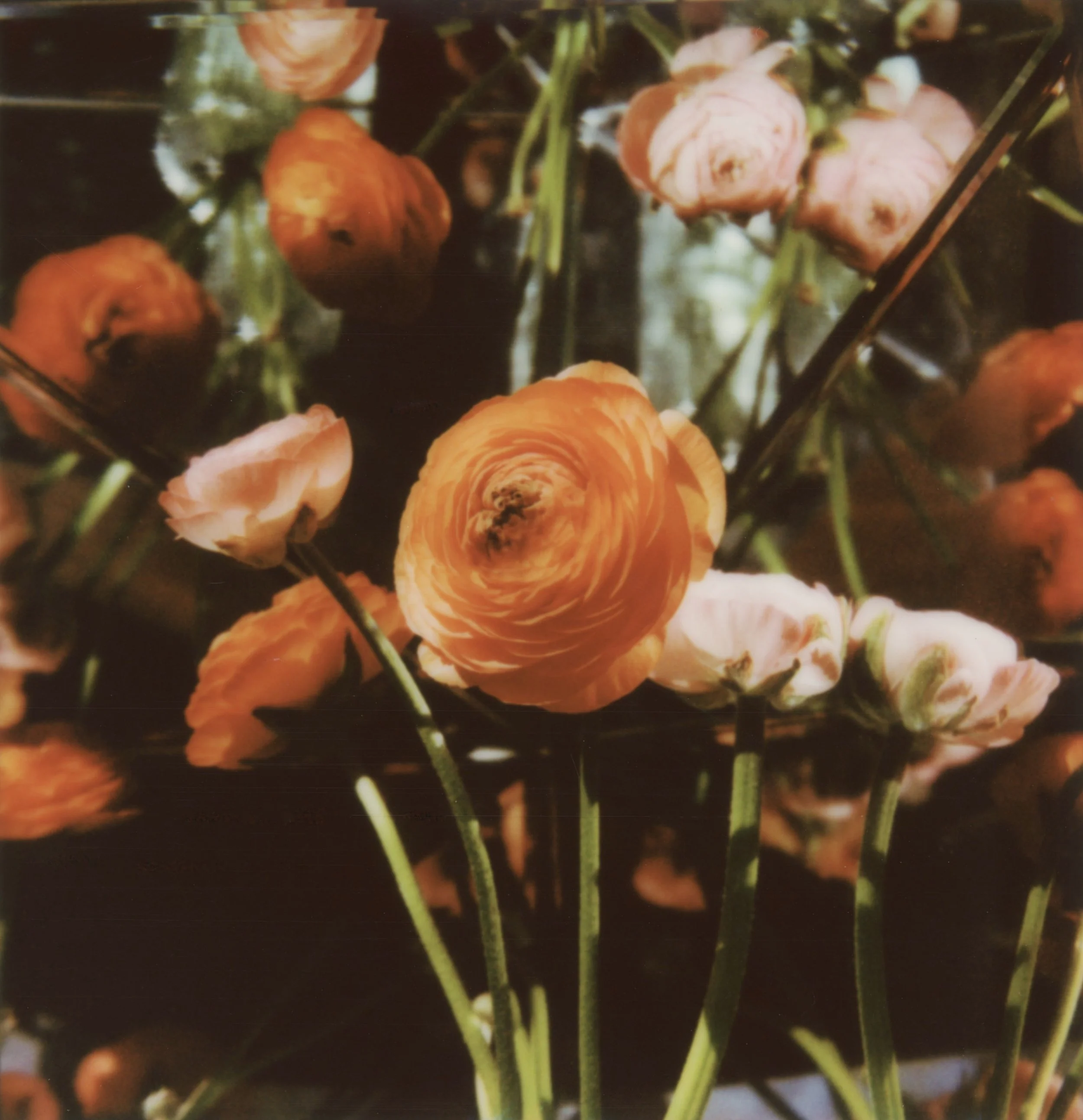 RACHEL WINSLOW, Kaleidoscope #1