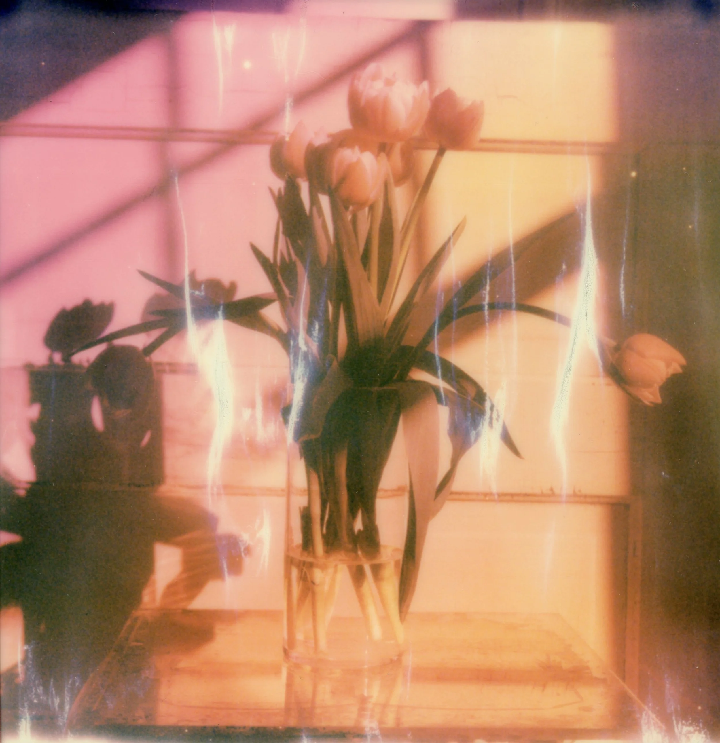 RACHEL WINSLOW, Sweet Perfume