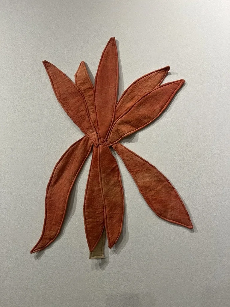 Butterflyweed.jpeg