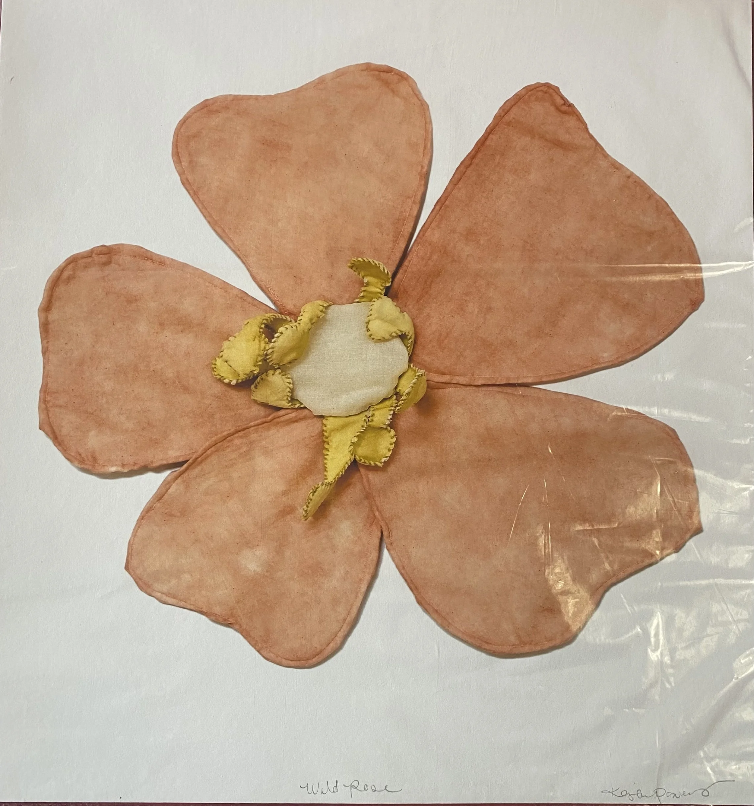 Kayla Powers, Wild Rose (Print)