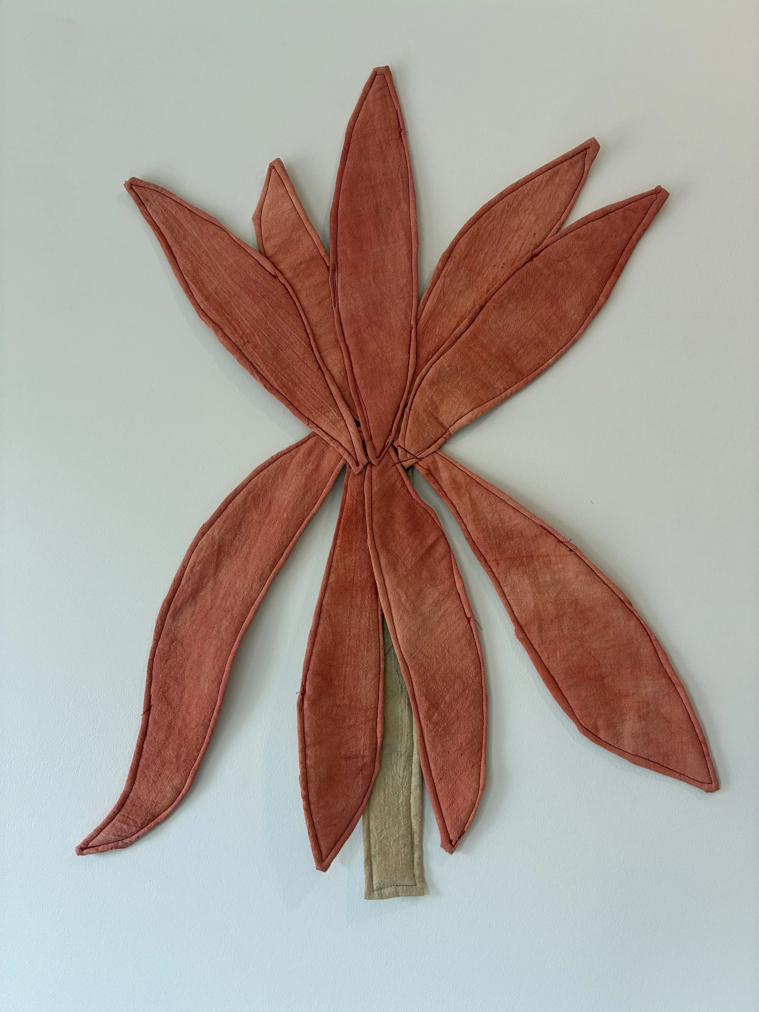 KAYLA POWERS, Butterfly Weed