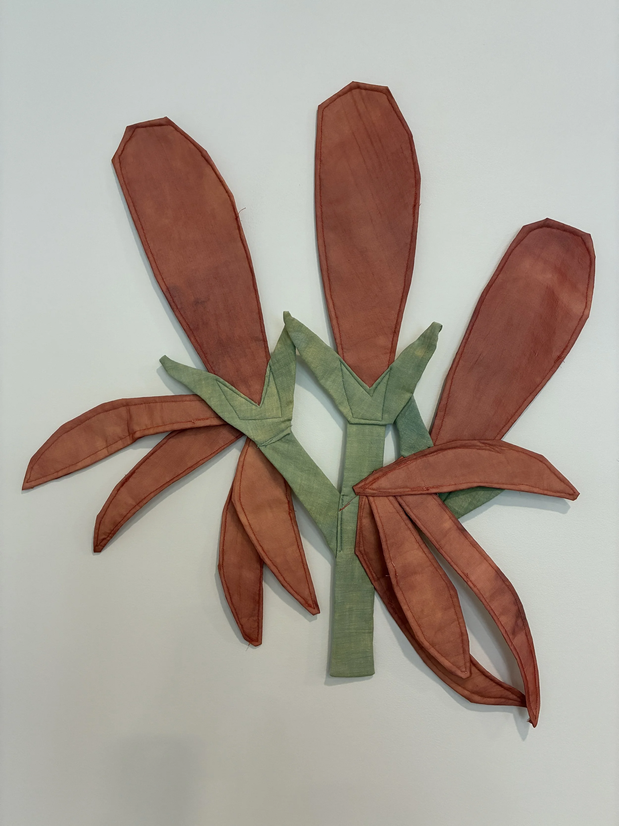 KAYLA POWERS, Cardinal Flower