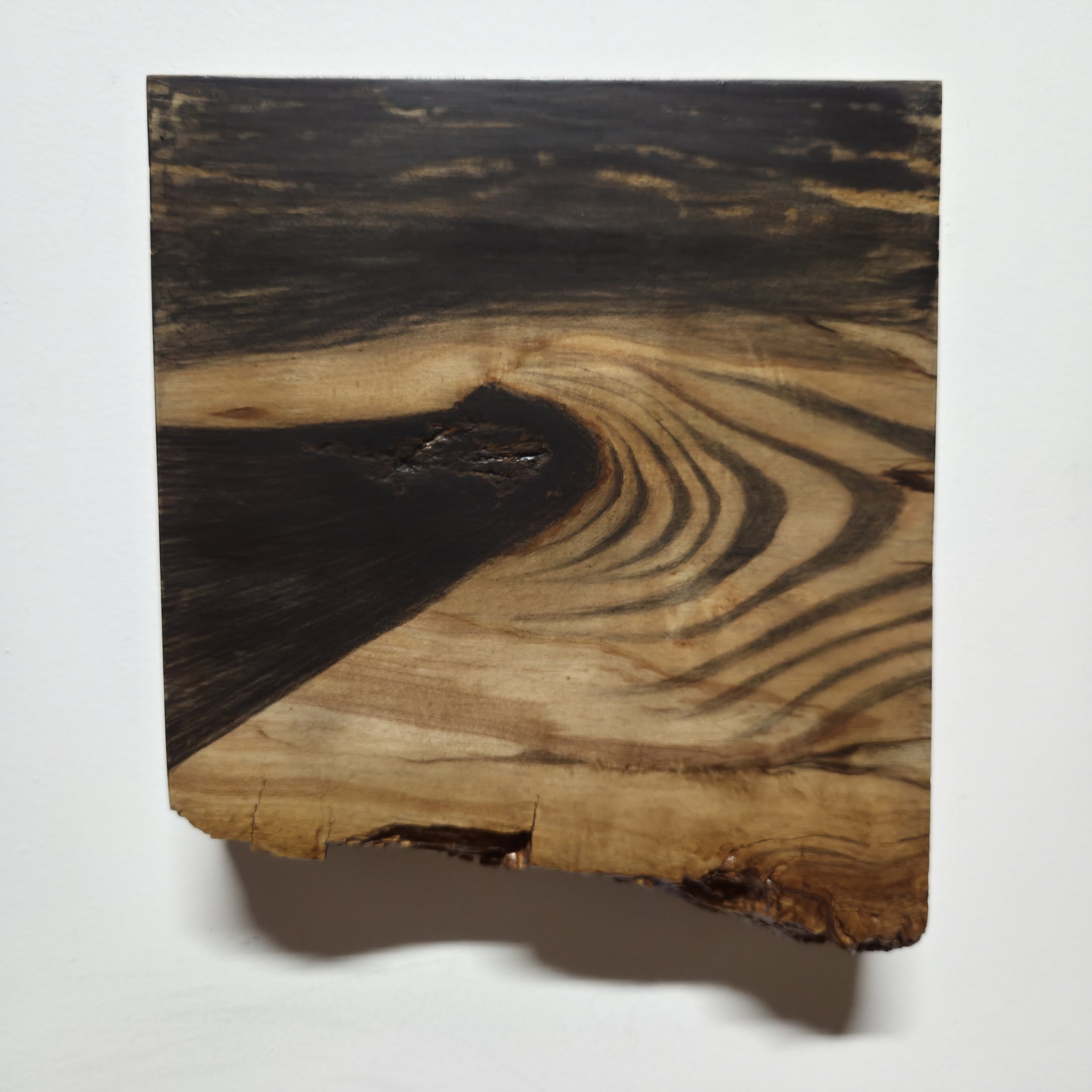 NIK BURKHART, Towards the Source