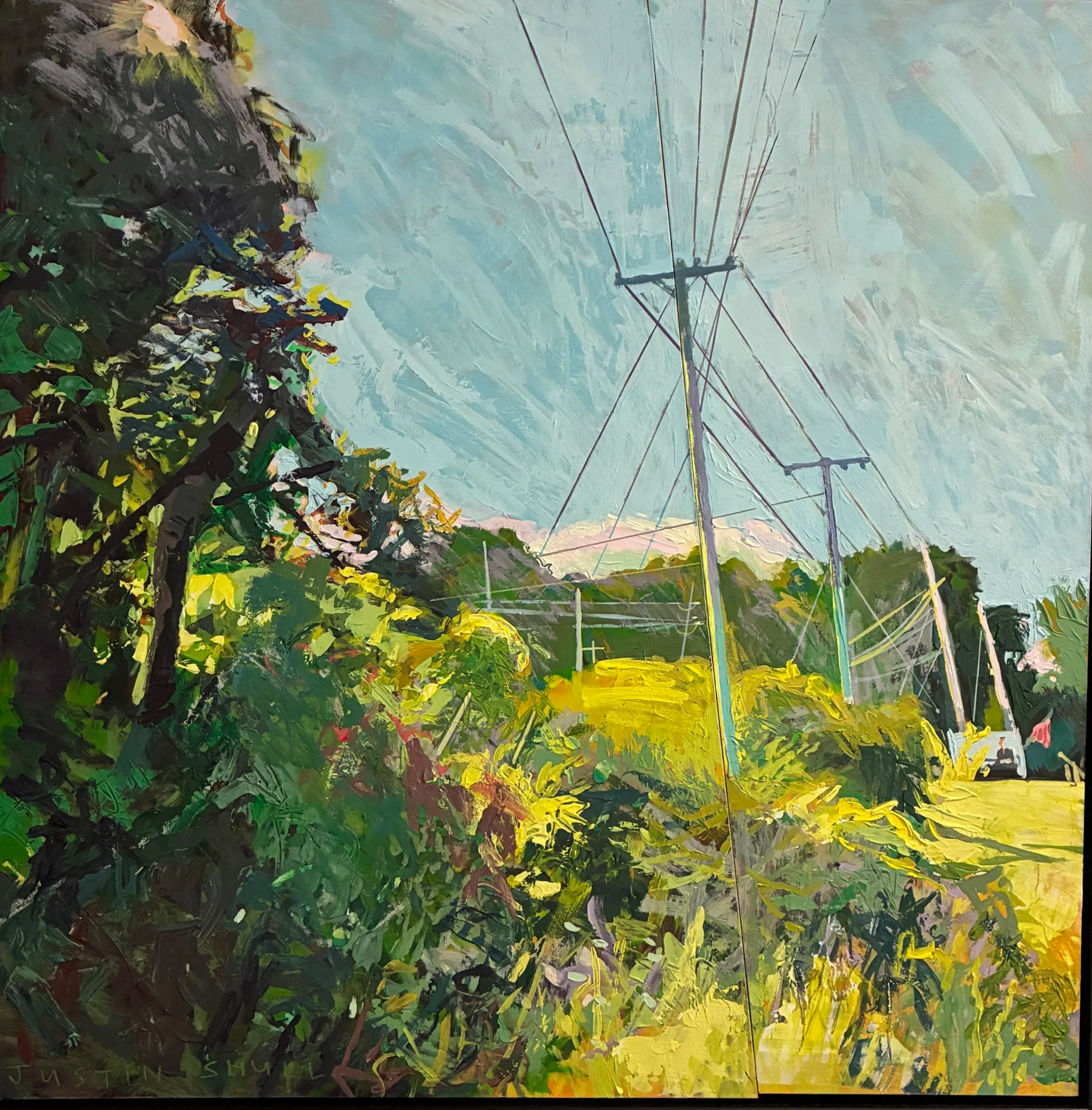JUSTIN SHULL, Out of the Woods