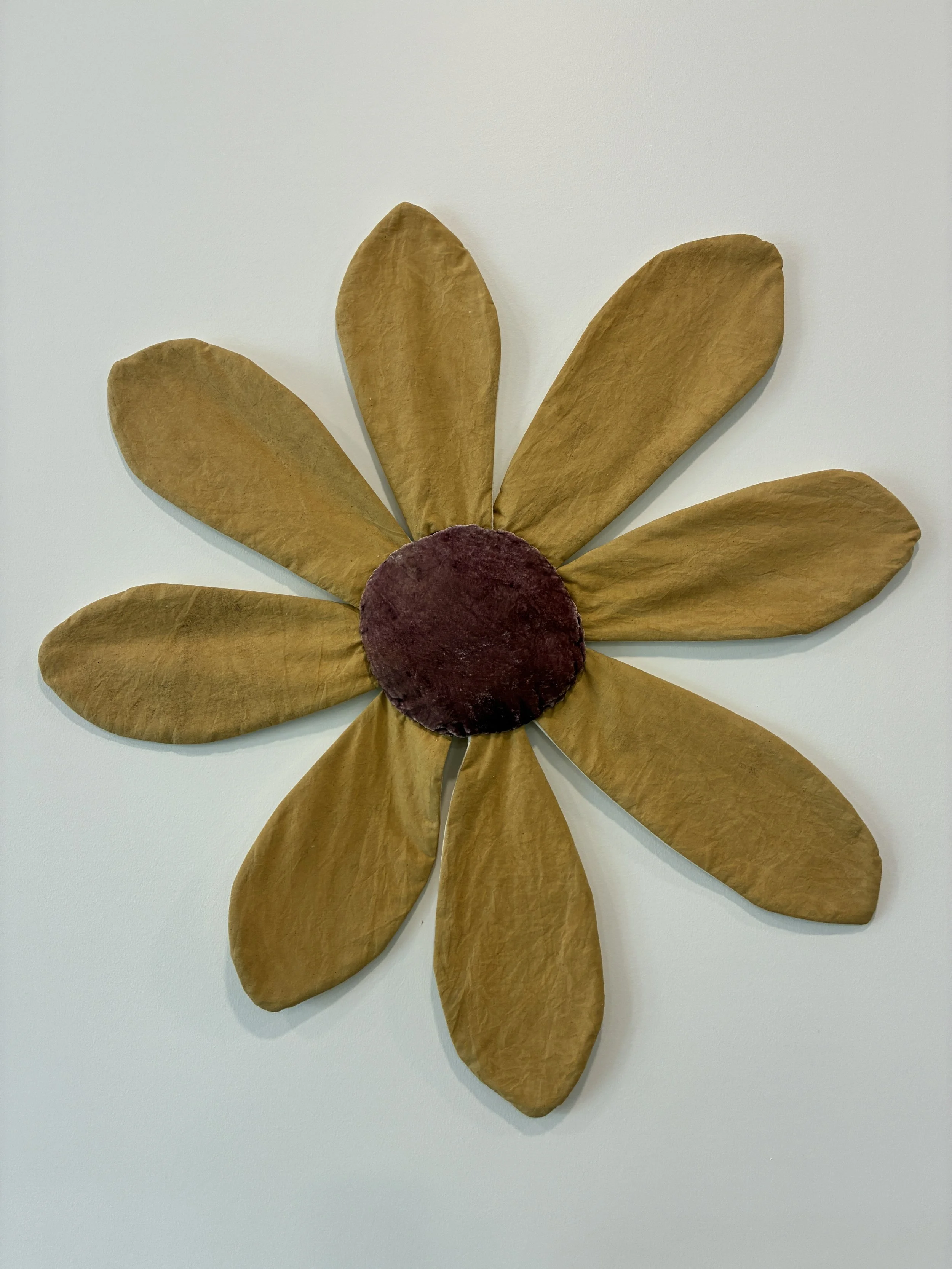 KAYLA POWERS, Tall Tickseed
