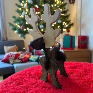 Reindeer 3.JPG
