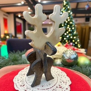 Reindeer 4.JPG