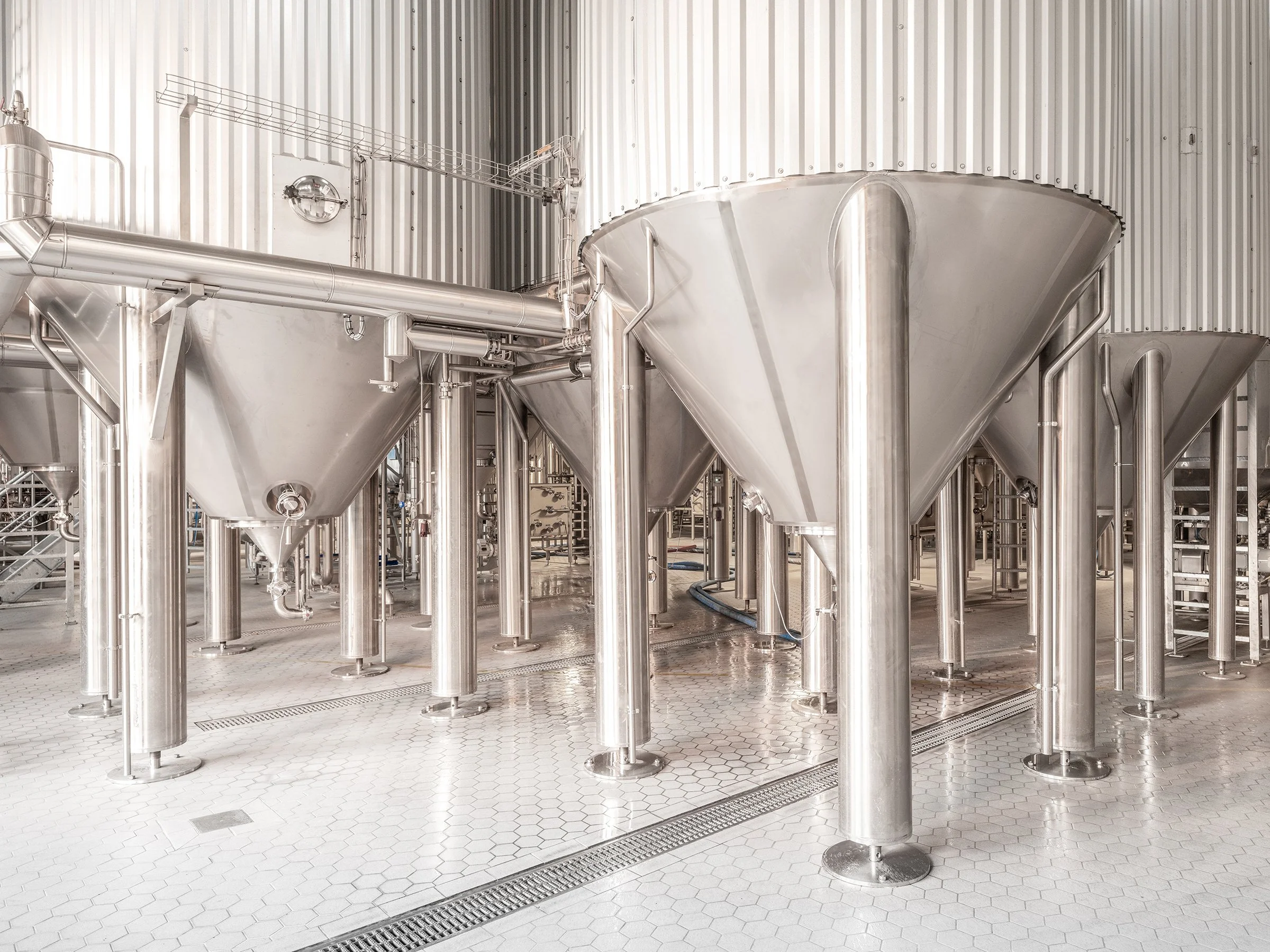 BrewDog Stills 1 for site.jpg