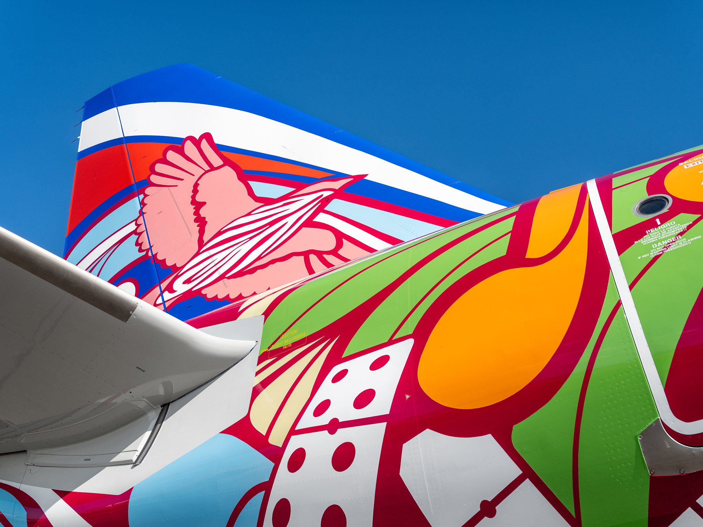JetBlue Dominican Republic Livery Deliverables-10 LR_.jpg