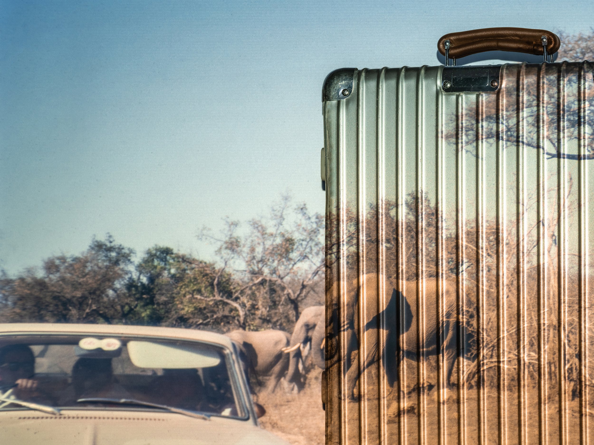 Rimowa Slide Elephant Safari for site.jpg