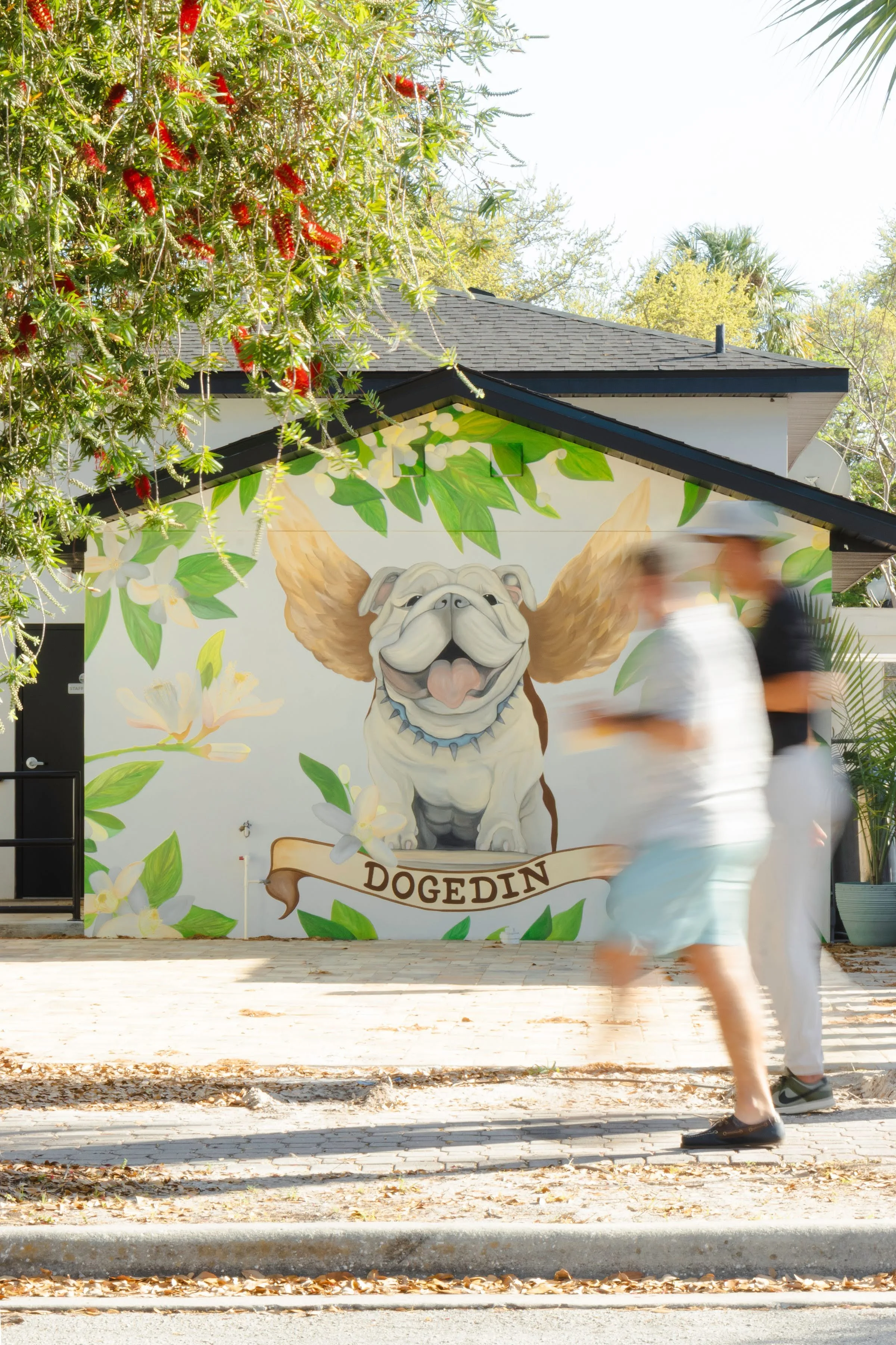 A mural of a happy English bulldog with angel wings and a collar, painted on the side of a building that has a black shingle roof. The mural includes white flowers and green leaves, with the word 'DOGEDIN' written on a ribbon below the dog. In front 