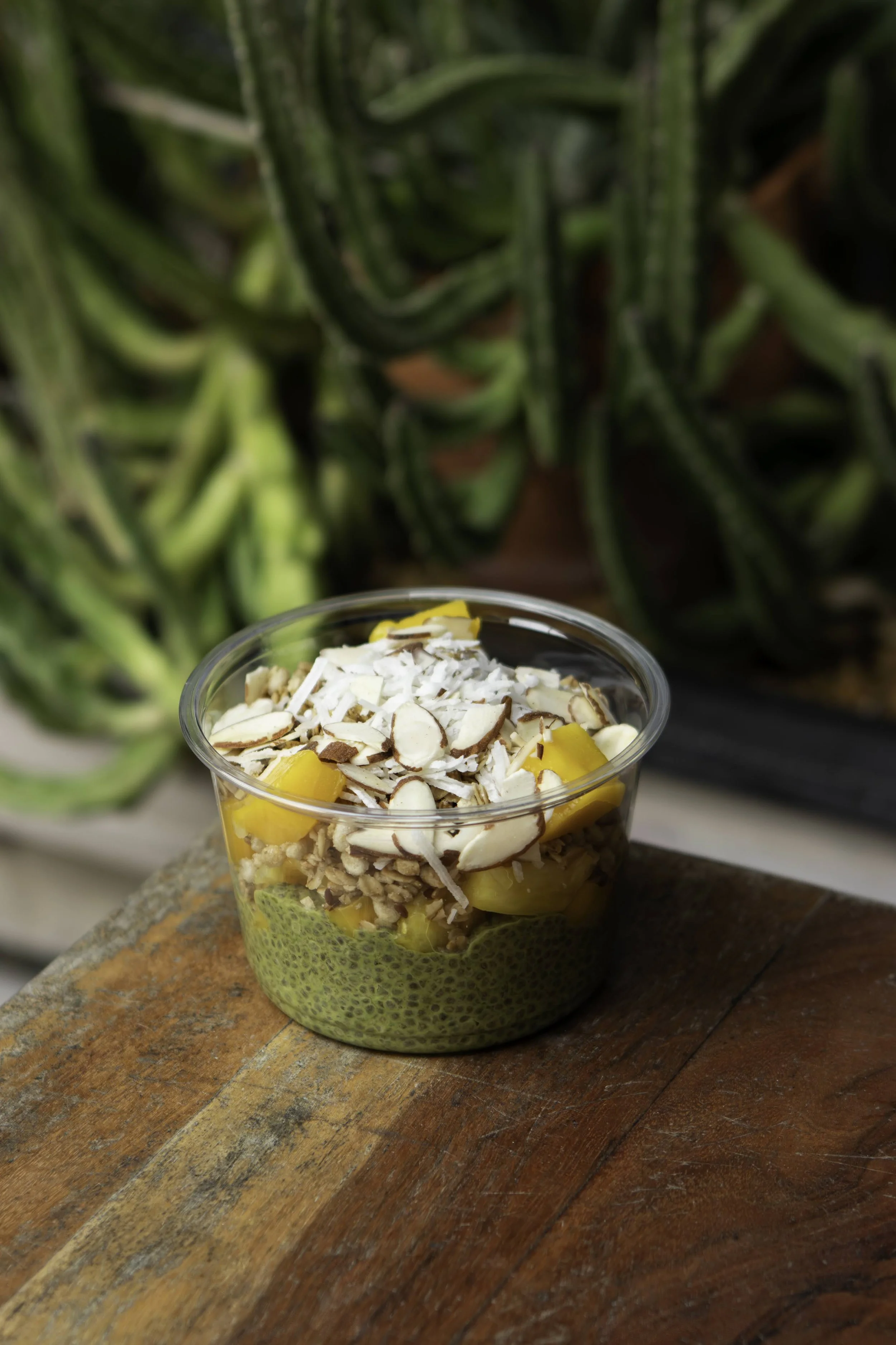 Close-up of a layered fruit parfait in a clear glass, topped with sliced almonds, and a background of green cactus plants. Food from Karma Juice Bar in St Pete and Clearwater. 