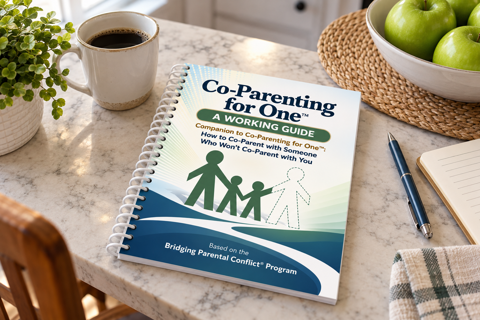 Co-Parenting for One: A Working Guide