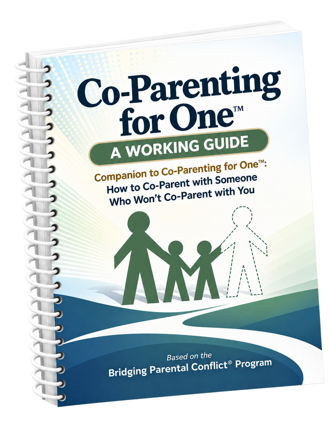 Co-Parenting Workbook 3D Mockup.png