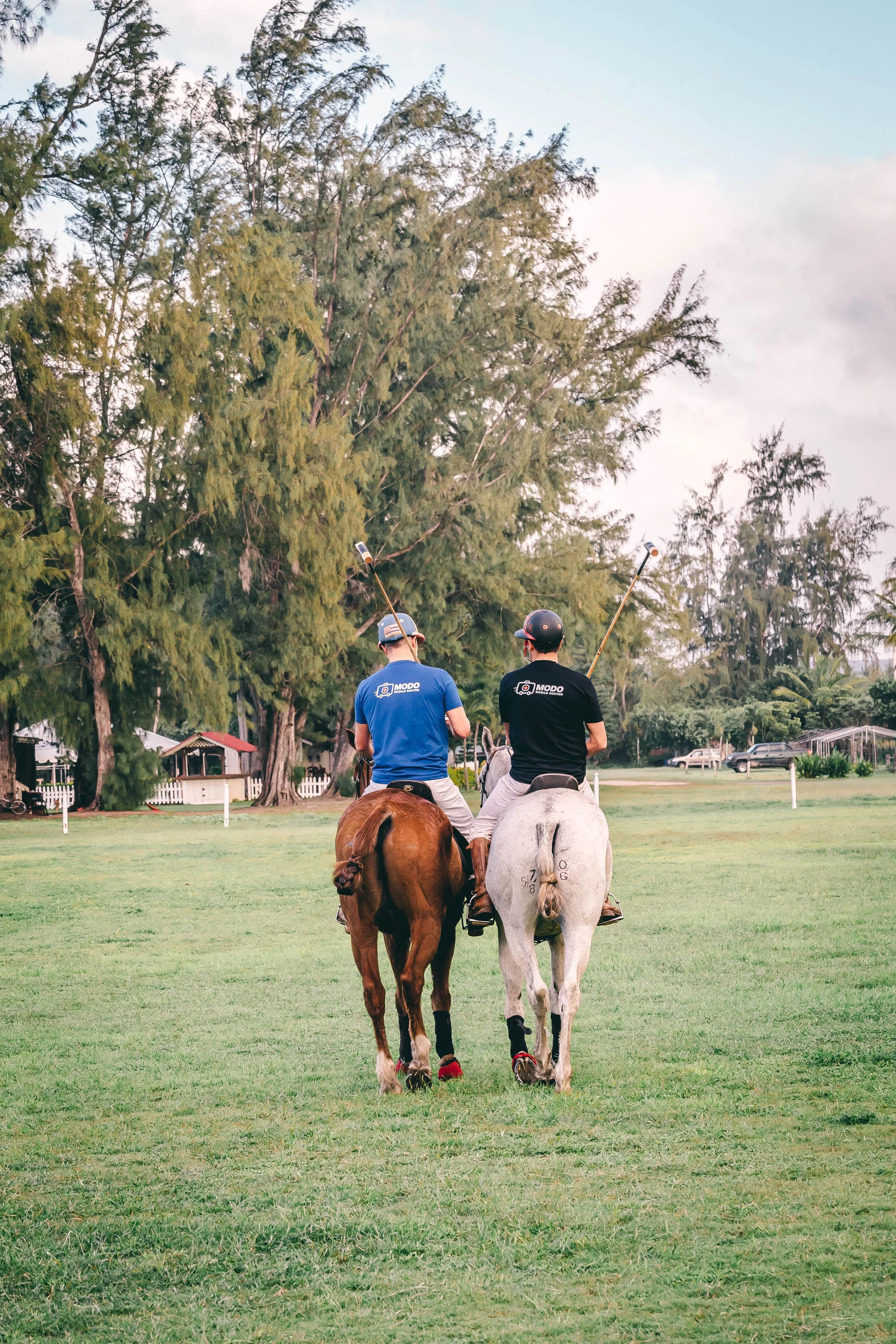 Two men riding horses on a grassy field, with tall trees and a partly cloudy sky in the background.