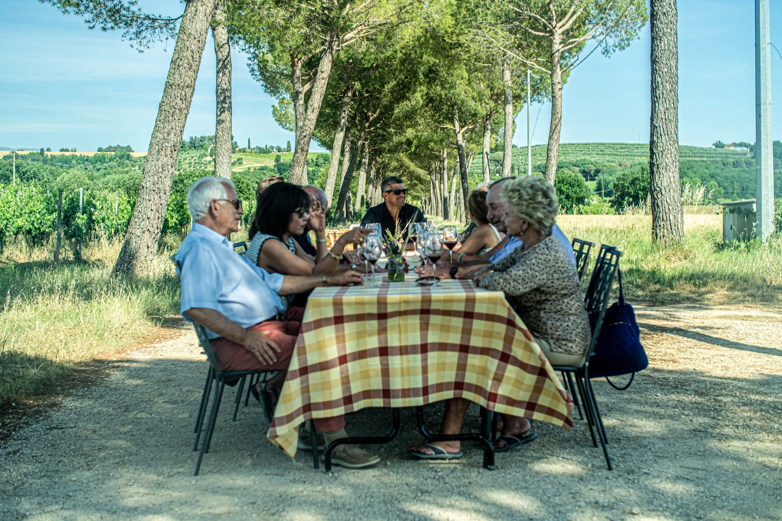 A group of people sitting at a long table outdoors under tall trees in a vineyard area, enjoying a meal and drinks in a sunny setting.