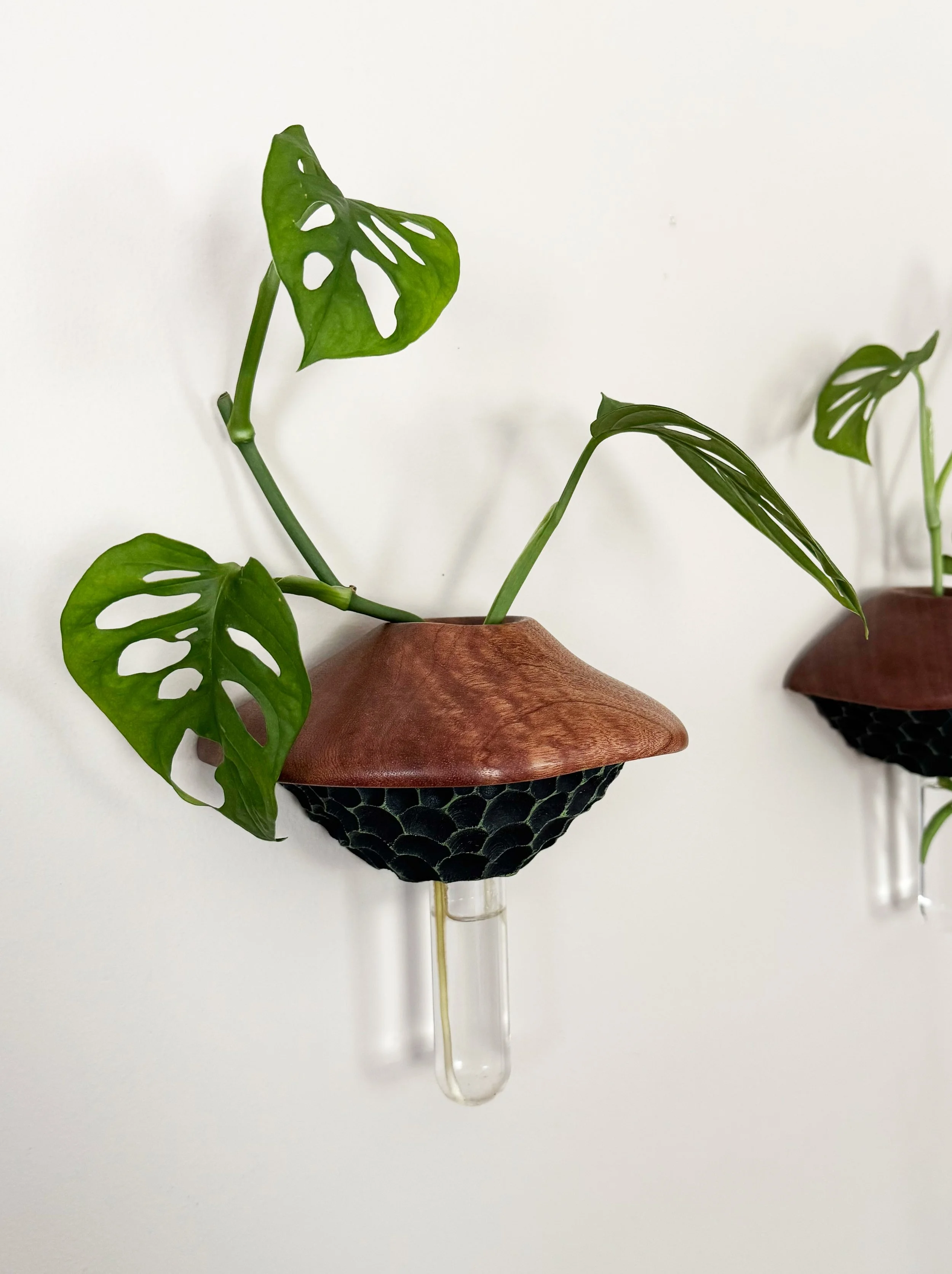 Fungi Wall Vase