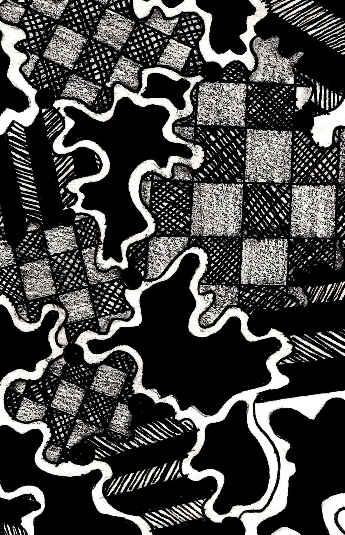 Abstract black and white pattern with irregular shapes, grid-like sections, and wavy outlines.