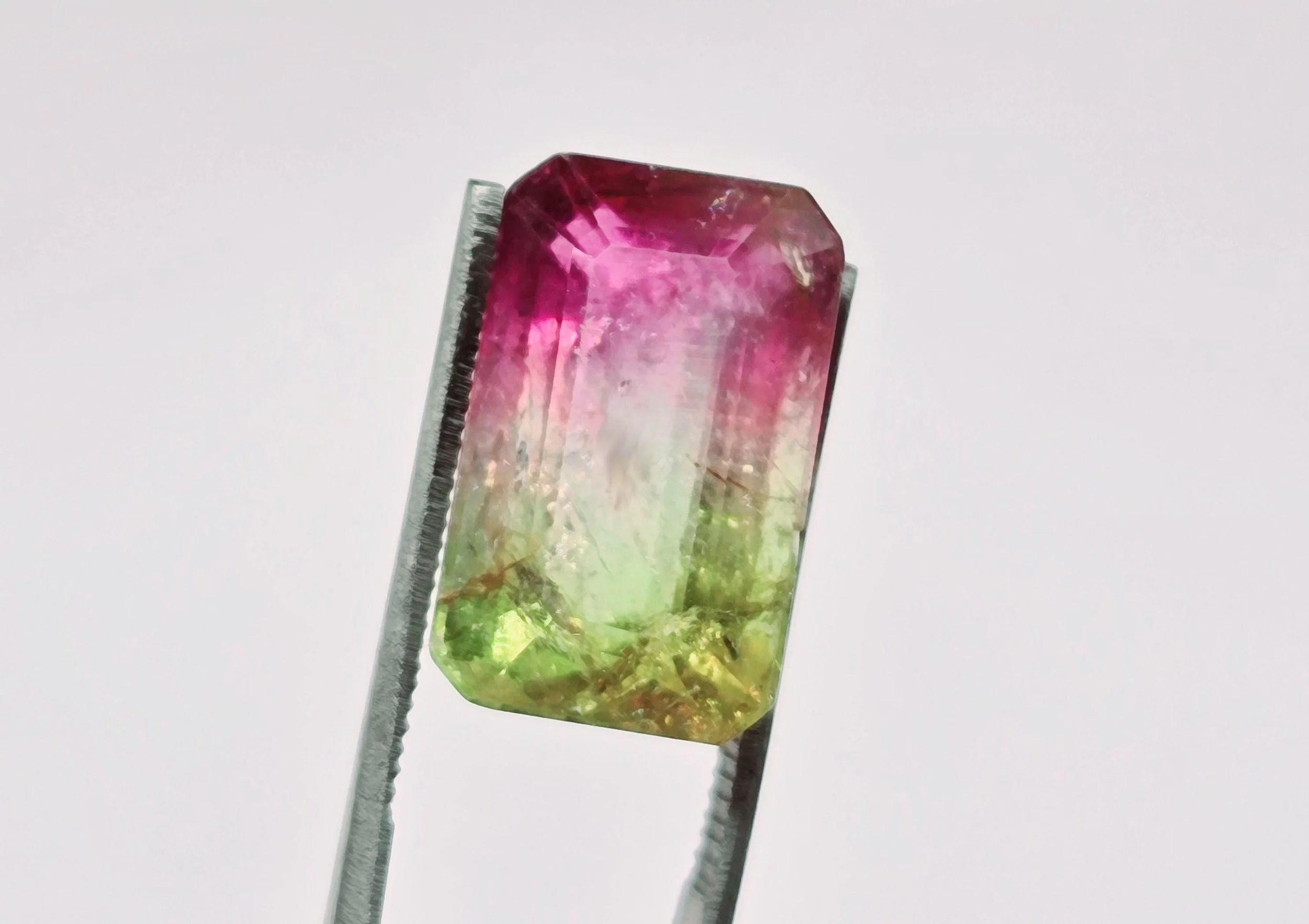 Tourmaline Bicolore 8.75 carats