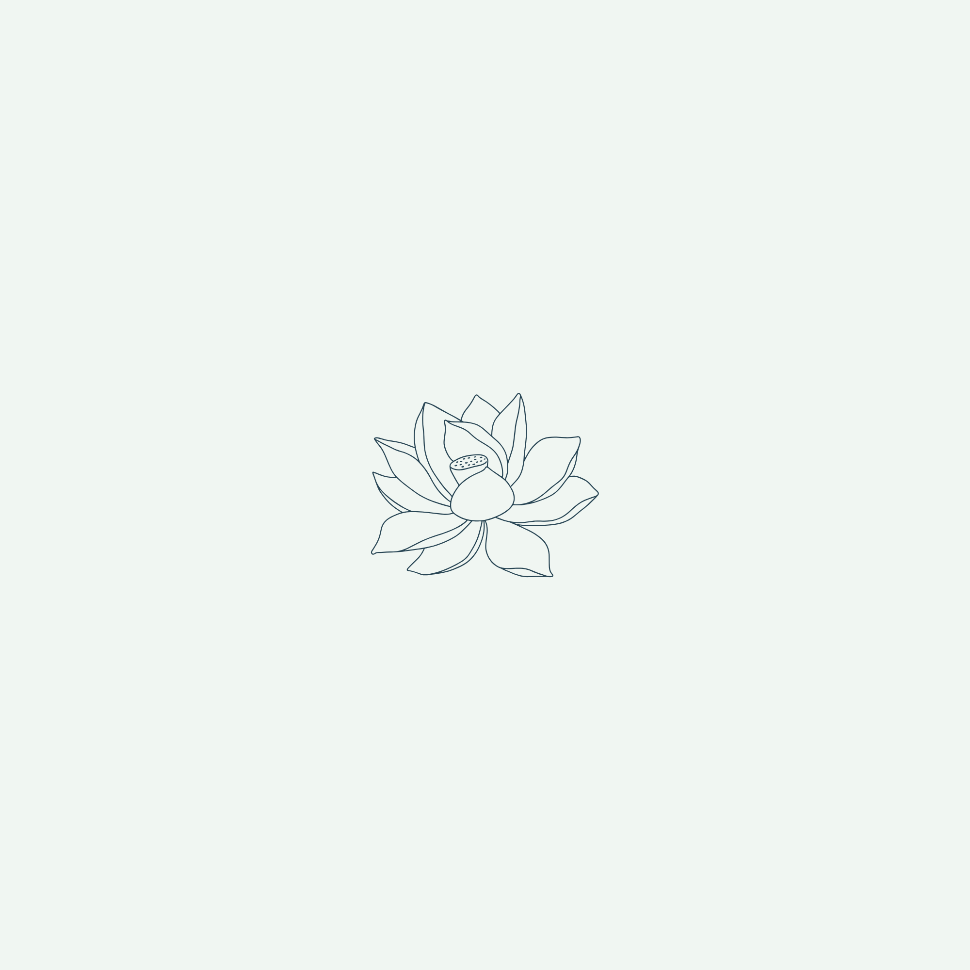 Line drawing of a kvantum flower on a light background.