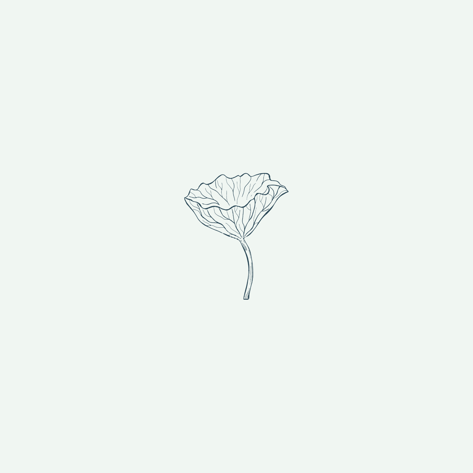 A black outline drawing of a single flower with a thin stem and large, ruffled petal, against a pale background.