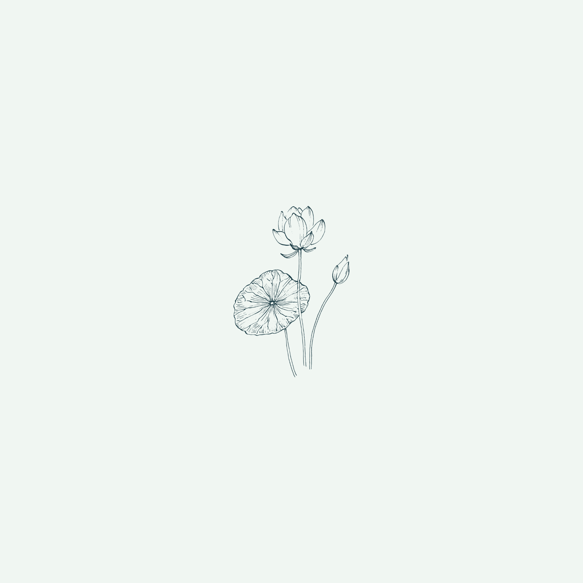 Line drawing of a lotus flower with several buds and large leaves on a light background.