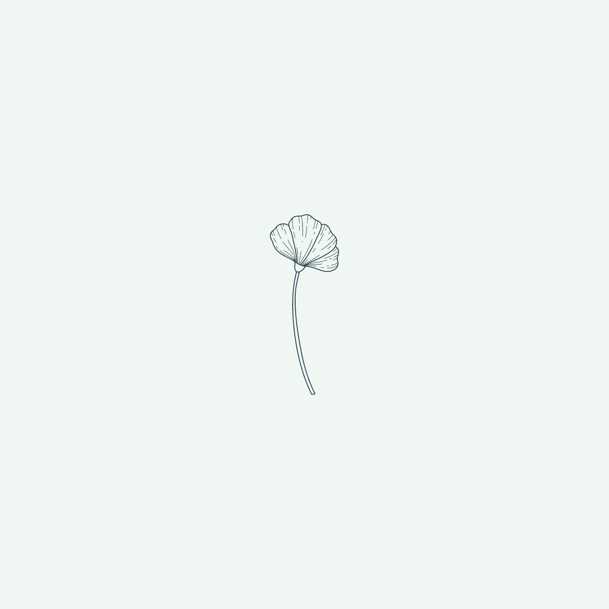 A minimalistic line drawing of a ginkgo leaf on a plain background.